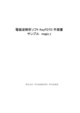 電磁波解析ソフト KeyFDTD 手順書 サンプル magic_t