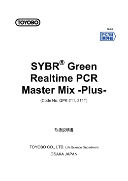 SYBR Green Realtime PCR Master Mix -Plus