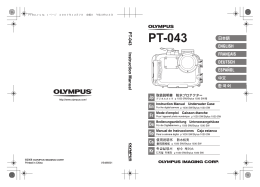 PT-043