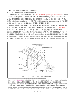 第11章 視覚系の情報処理 20040306 11．