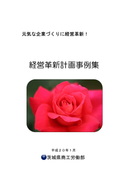 経営革新計画事例集