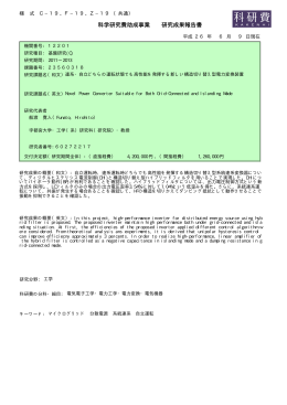 PDF - KAKEN - 科学研究費助成事業データベース