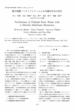 微生物膜バイオ リ アク ターによる汚濁河川水の浄化 Purificati。n 。f P