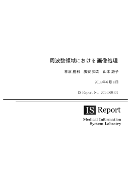 Report