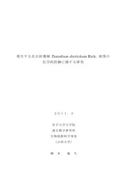 現生する化石針葉樹 Taxodium distichum Rich. 球果の 化学的防御