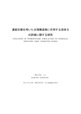 連結石礫を用いた水理構造物に作用する流体力 の評価に関する研究