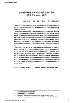 小笠原水曜海山カルデラ内の銅に富む 熱水性チムニー鉱石