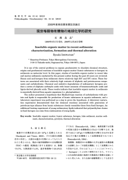 現世堆積物有機物の地球化学的研究