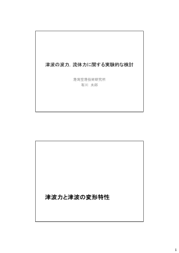 津波力と津波の変形特性