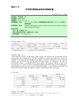 様式 C-19 科学研究費補助金研究成果報告書 - KAKEN