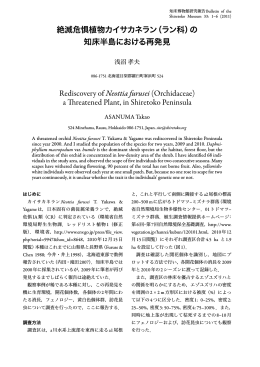 知床半島 再発見 Rediscovery of Neottia furusei (Orchidaceae)