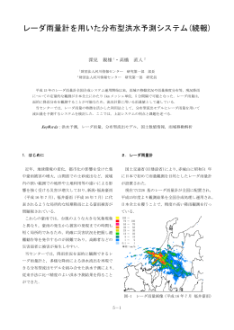 レーダ雨量計を用いた分布型洪水予測システム(続報)