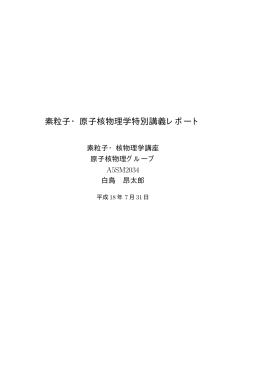 素粒子・原子核物理学特別講義レポート