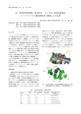 ⑵ 研究科特別経費（研究科分 タイプⅡ）研究成果報告 ナノ
