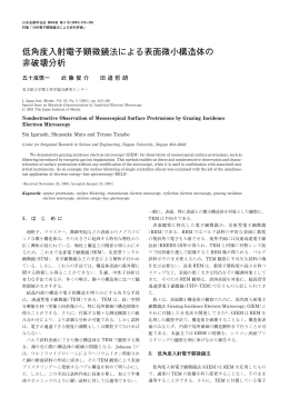 低角度入射電子顕微鏡法による表面微小構造体の 非