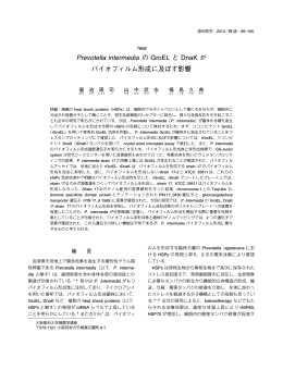 Prevotella intermedia の GroEL と DnaK が バイオ
