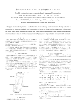 発表原稿 2002年6月pdf