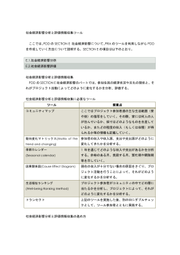 社会経済影響分析と評価情報収集ツール ここでは、PDD の SECTION