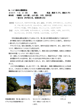 No.167森林公園観察会 2007．12．2（日） 晴れ 気温：最高 15.3