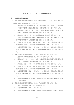 第9章：ぼうこう又は直腸機能障害（PDF）