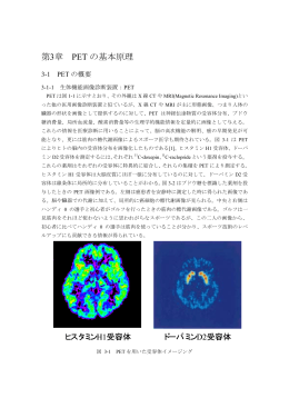 PET測定と画像再構成 - 東北大学サイクロトロン・ラジオアイソトープ