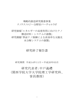 研究終了報告書 研究代表者：中戸義禮 （関西学院