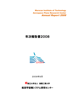 2008年度年次報告書