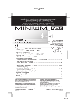 Minium Citabria_P001 [Konvertiert]