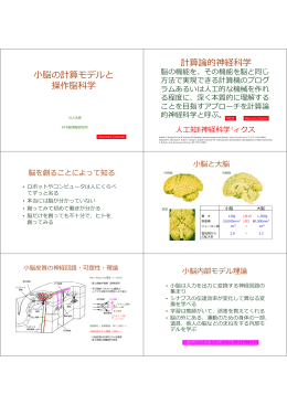 脳の計算モデルと 操作脳科学 計算論的神経科学