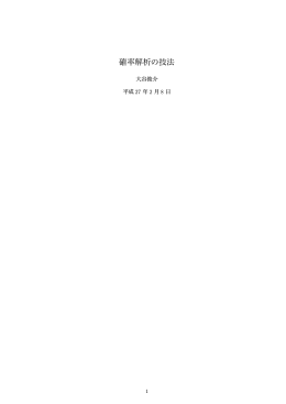 確率解析の技法