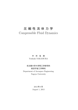 PDF 976KB - 名古屋大学大学院工学研究科流体力学研究グループ