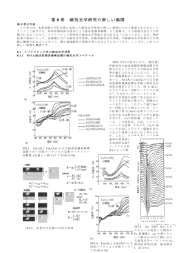 第 8 章 磁気光学研究の新しい展開