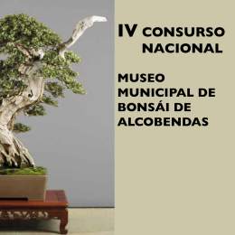 IV CONSURSO NACIONAL