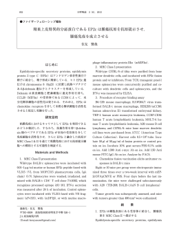 全文PDF 849KB