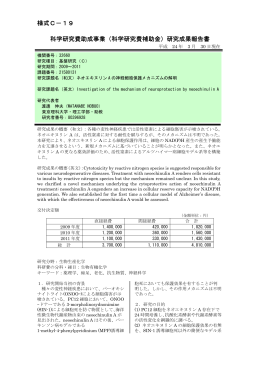 研究成果報告書 - KAKEN - 科学研究費助成事業データベース