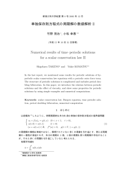 PDF (208933 Byte)