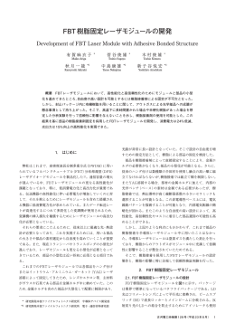 全文（PDF 2904KB）