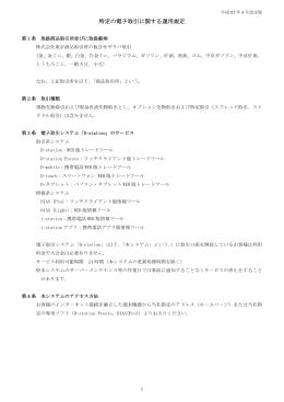 特定の電子取引に関する運用規定