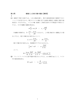 第2問 磁場による粒子線の集束【解答】 Ⅰ