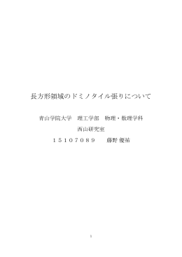 長方形領域のドミノタイル張りについて