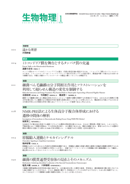ミトコンドリア膜を舞台とするタンパク質の交通 細菌