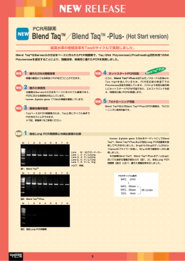 PCR用酵素 Blend Taq TM ／Blend Taq TM -Plus