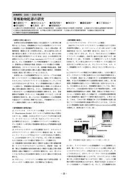 脊椎動物起源の研究