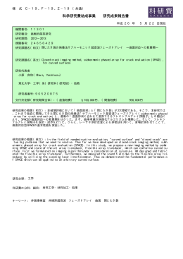 PDF - KAKEN - 科学研究費助成事業データベース