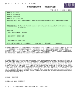 科学研究費助成事業 研究成果報告書