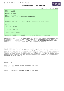 科学研究費助成事業 研究成果報告書 - KAKEN