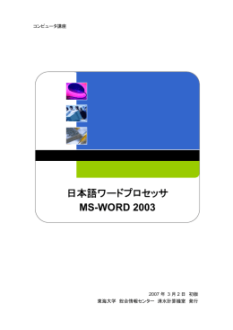 MS-WORD 2003