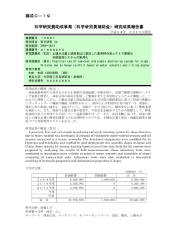 研究成果報告書