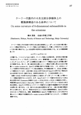部分多様体論のさらなる発展にむけて