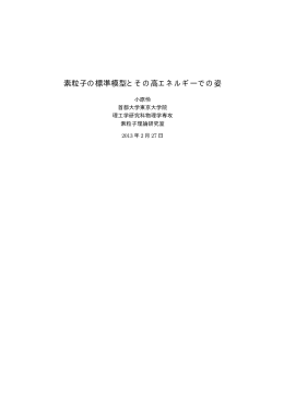 S. Kohara, Master of Science Thesis - 素粒子理論研究室